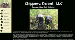 Desktop Screenshot of chippewa-gsp.com